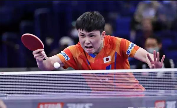 开云体育APP下载-英格兰队碾压波兰队，张本智和扛起全队