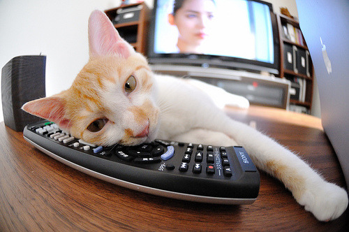 开云体育登录-胜利密码，当药厂铁血映照三球王之夜—解码绝境中的领导者基因