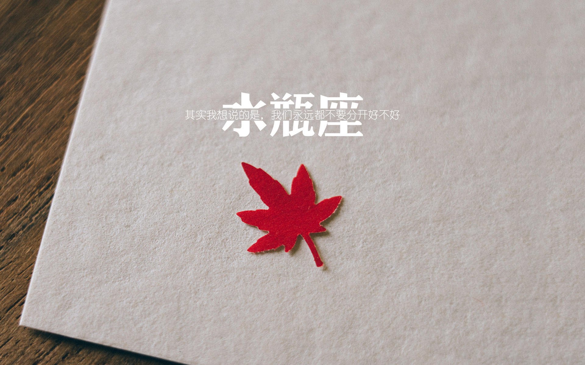 开云体育APP下载-加勒比海啸突遇南极寒流，奥运资格关键战，新西兰的逆袭如何撕碎剧本？