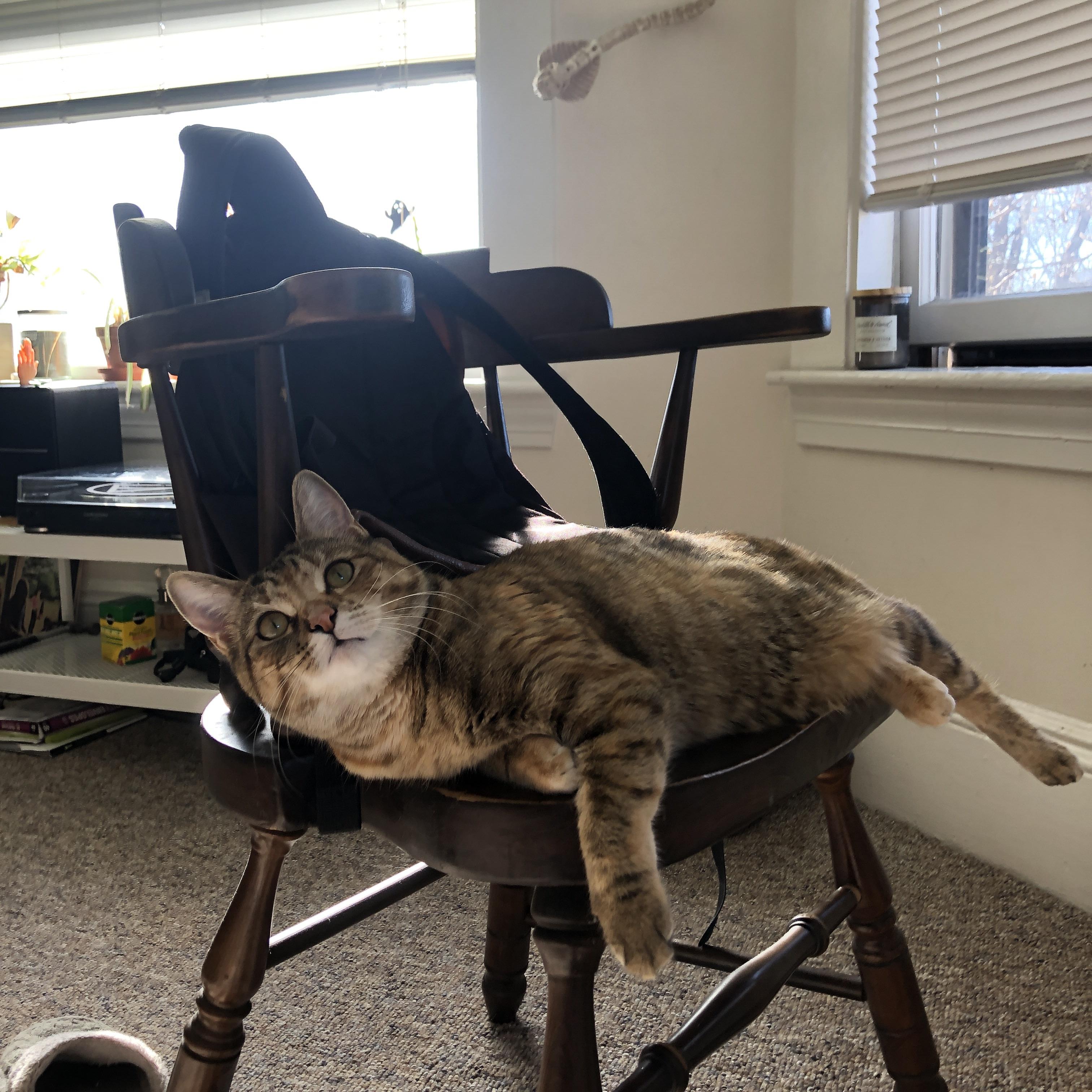 时空错配的翻盘,骑士与欧冠之间的命运低语