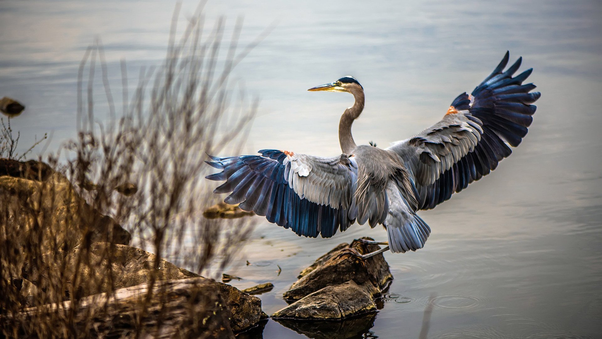 冠军之心,永不熄灭