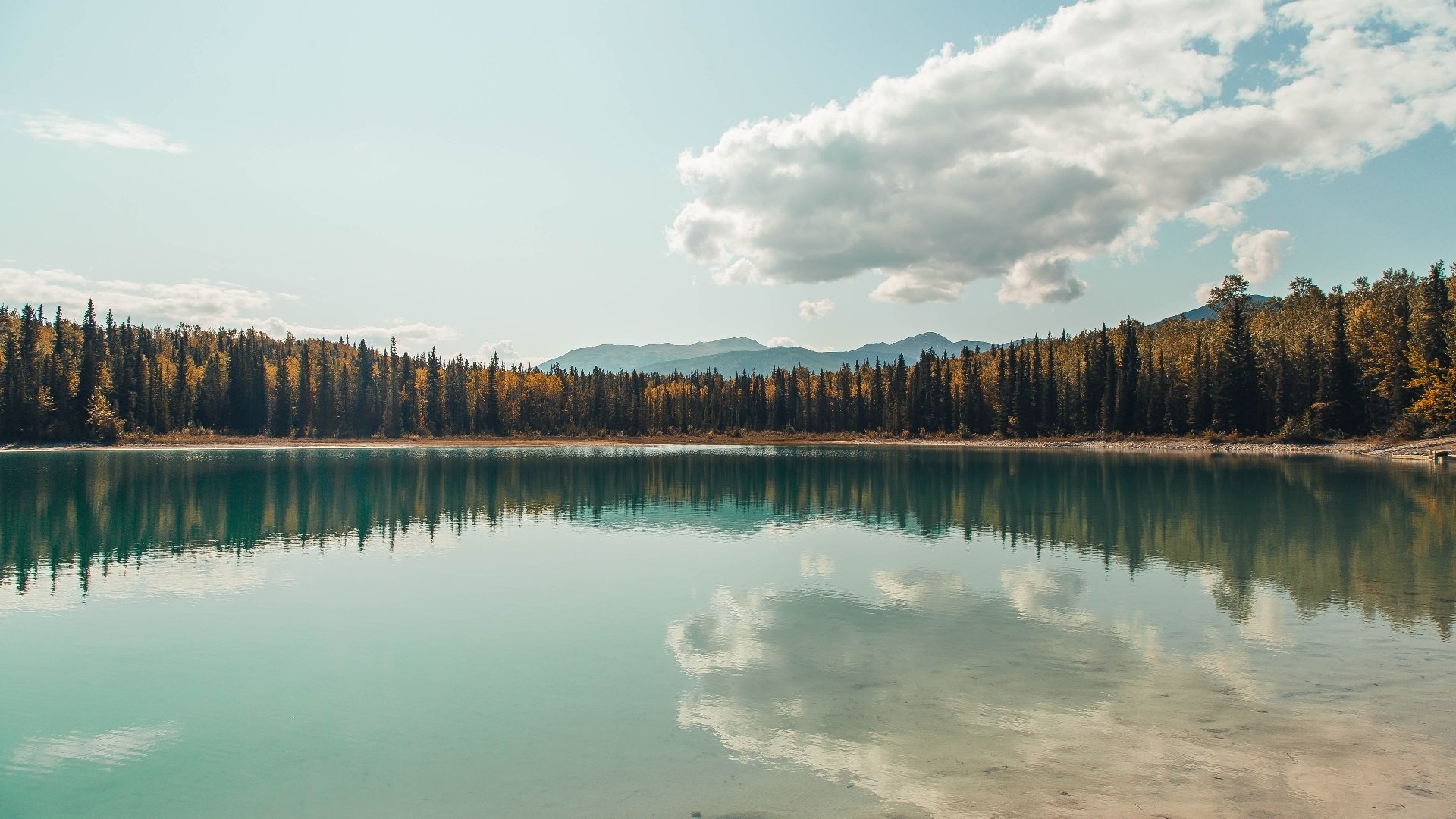 勇敢的心,卢卡库灾难艺术与加纳黑色流星的史诗翻转—一场反向救赎的绿茵启示录