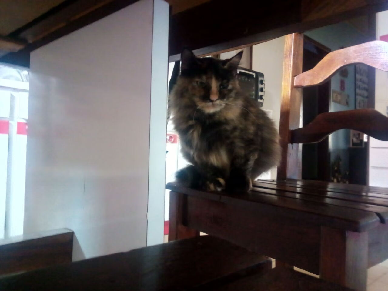 巨星闪光与钢铁洪流,足球世界的两种胜利法则