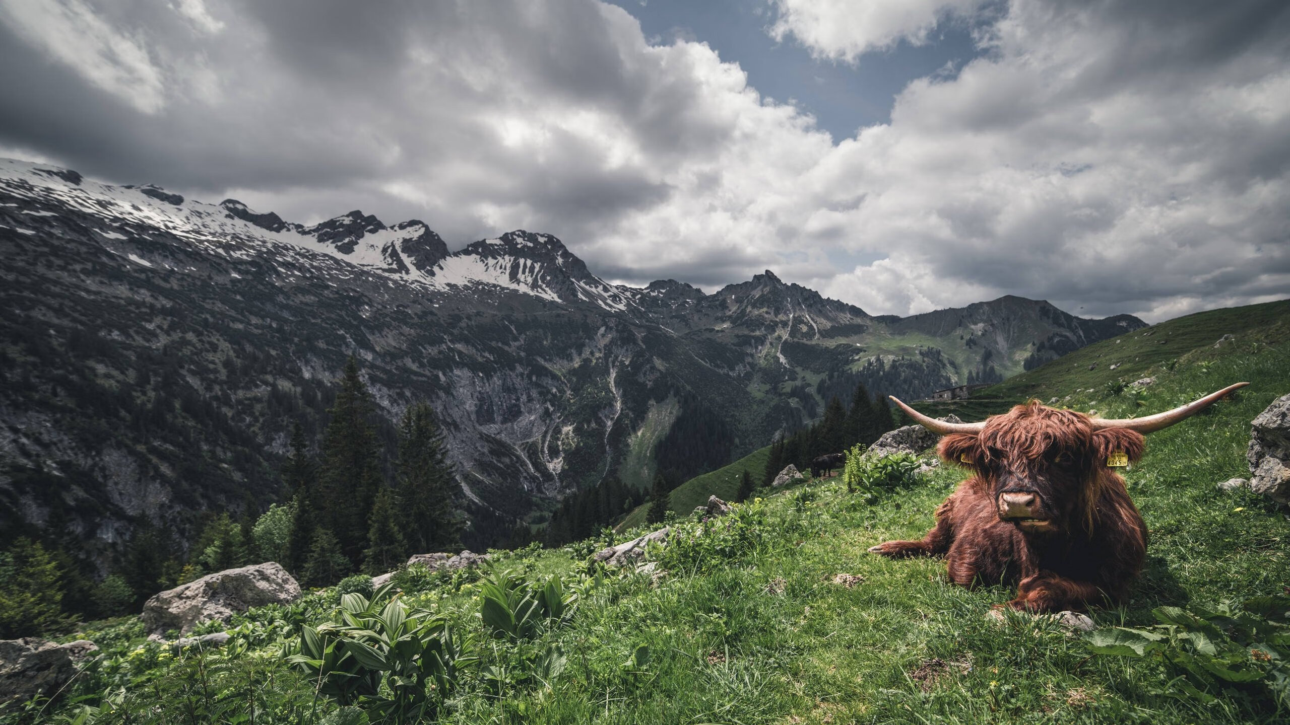 体育奇幻夜，辽宁队终结篮网，詹姆斯欧冠淘汰赛接管比赛