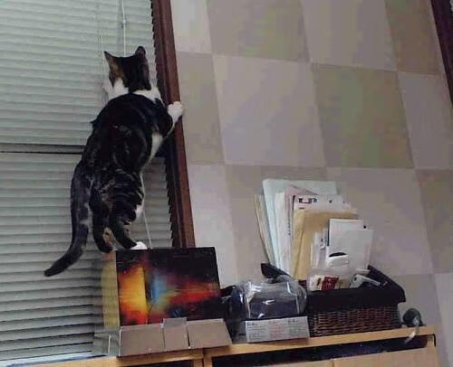 钢铁丛林中的奇迹,深圳队冲垮76人记