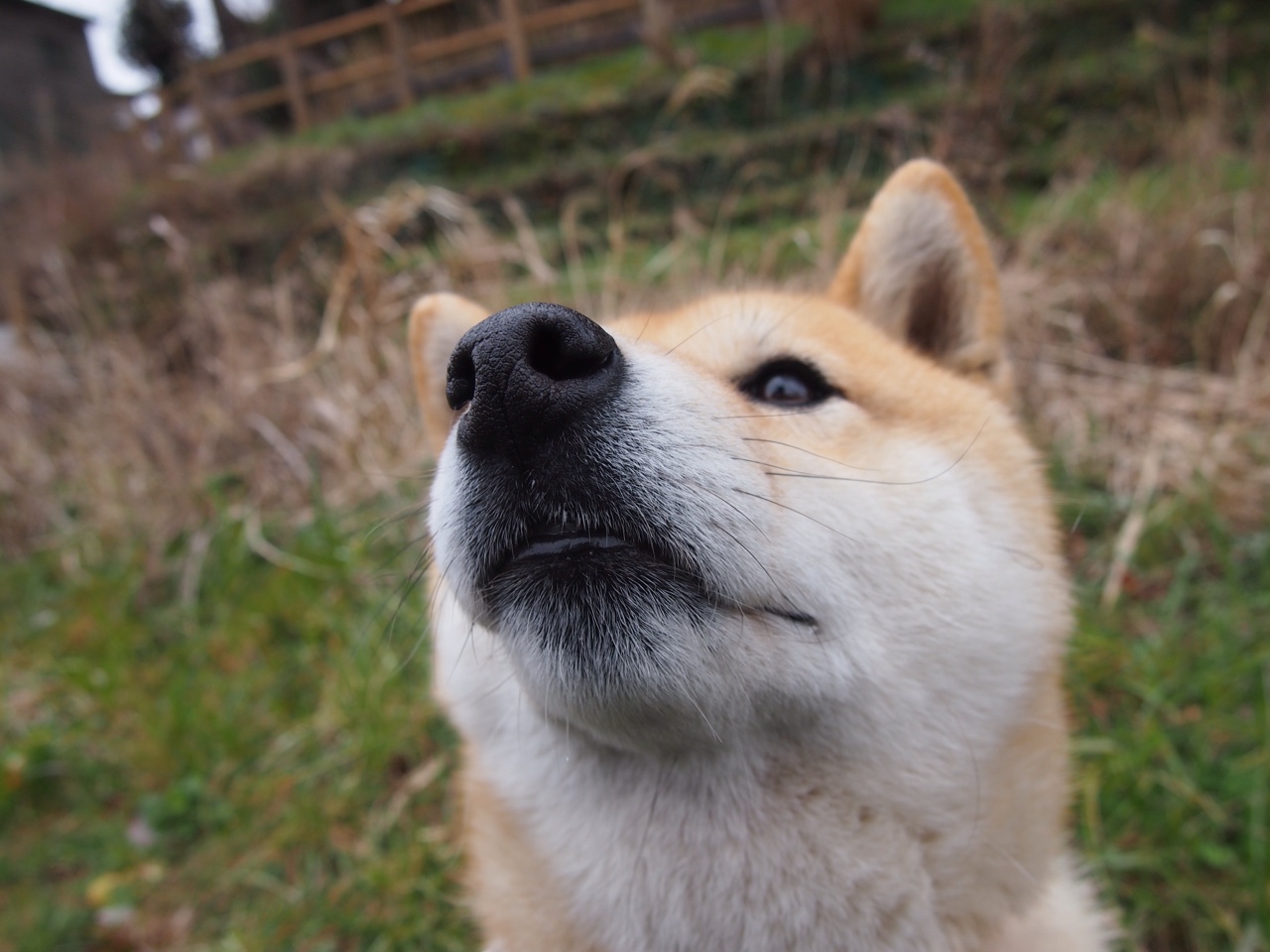 双重颠覆,从伊朗狂胜到范戴克主宰—体育世界中的规则改写者