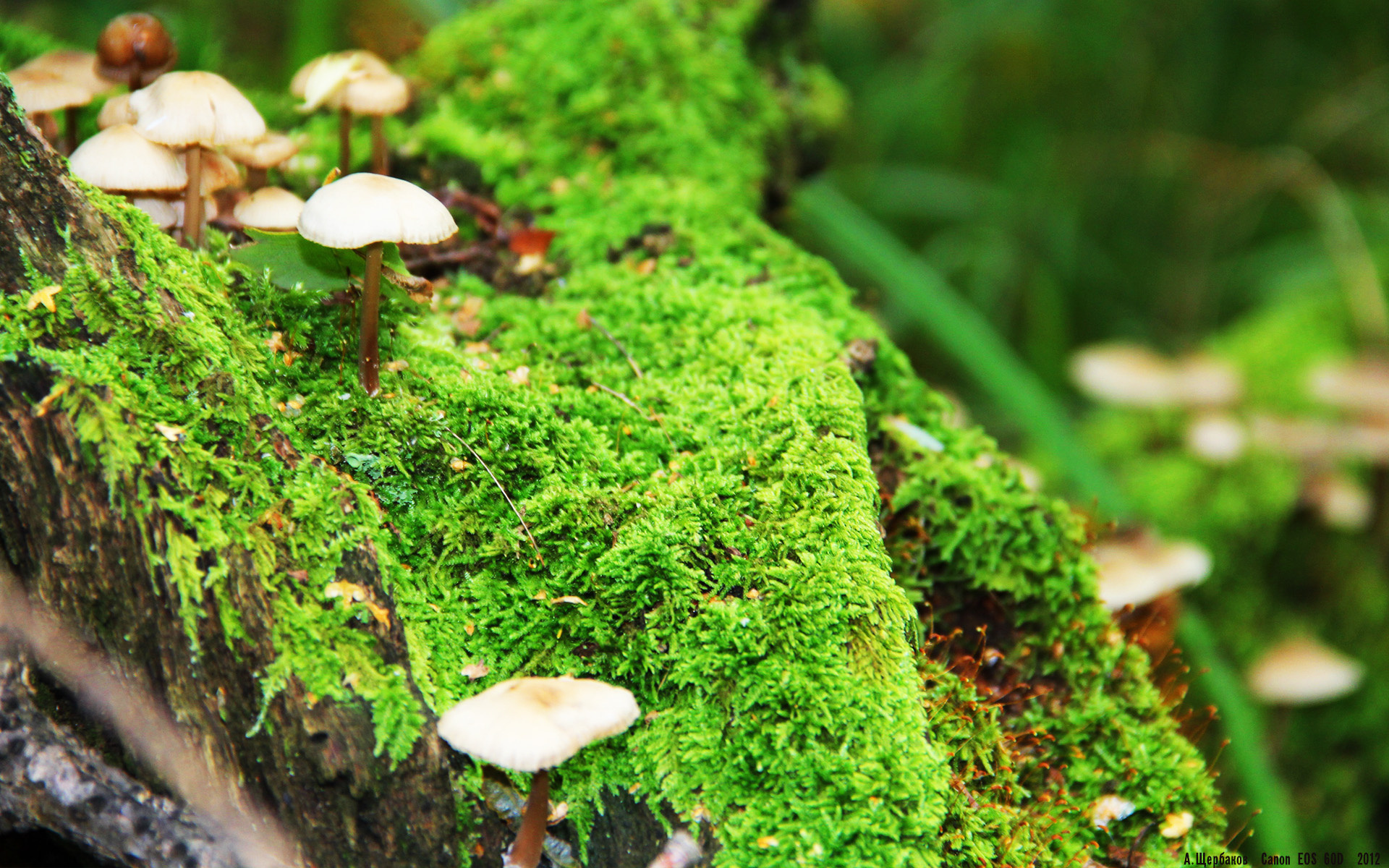 开云体育登录-C罗不在场上，却为这场比赛写下注脚，当勒沃库森的狂飙遭遇亚特兰大的铁壁，谁能主宰时间的流速？