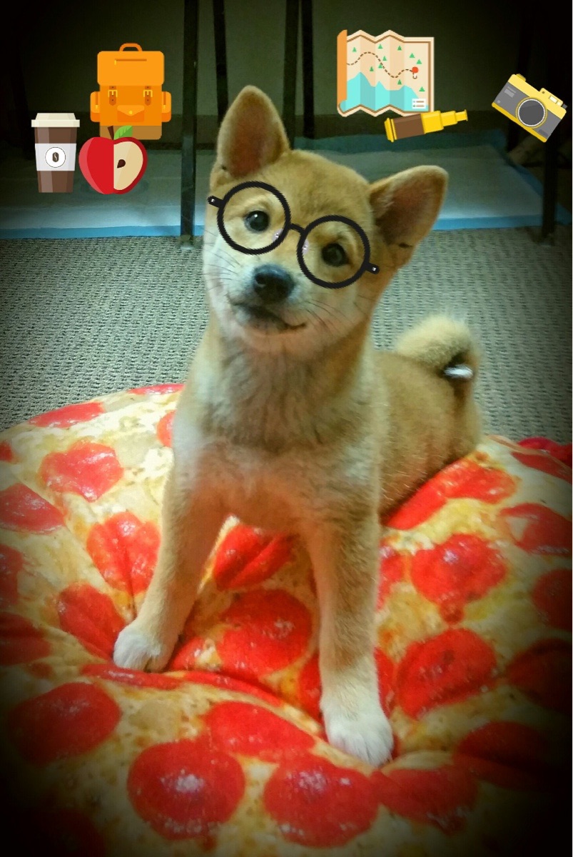 开云体育app-当拜仁抽空比利时防线，蓝衣军团却因他挺直腰杆