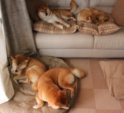 开云体育-量子纠缠,当活塞锁死湖人时,詹姆斯正在另一个时空收割比赛