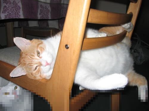 是掌控者,亦是魔术师,当拉梅洛用四次助攻与一记logo三分,将胜利从上海队的指尖偷走