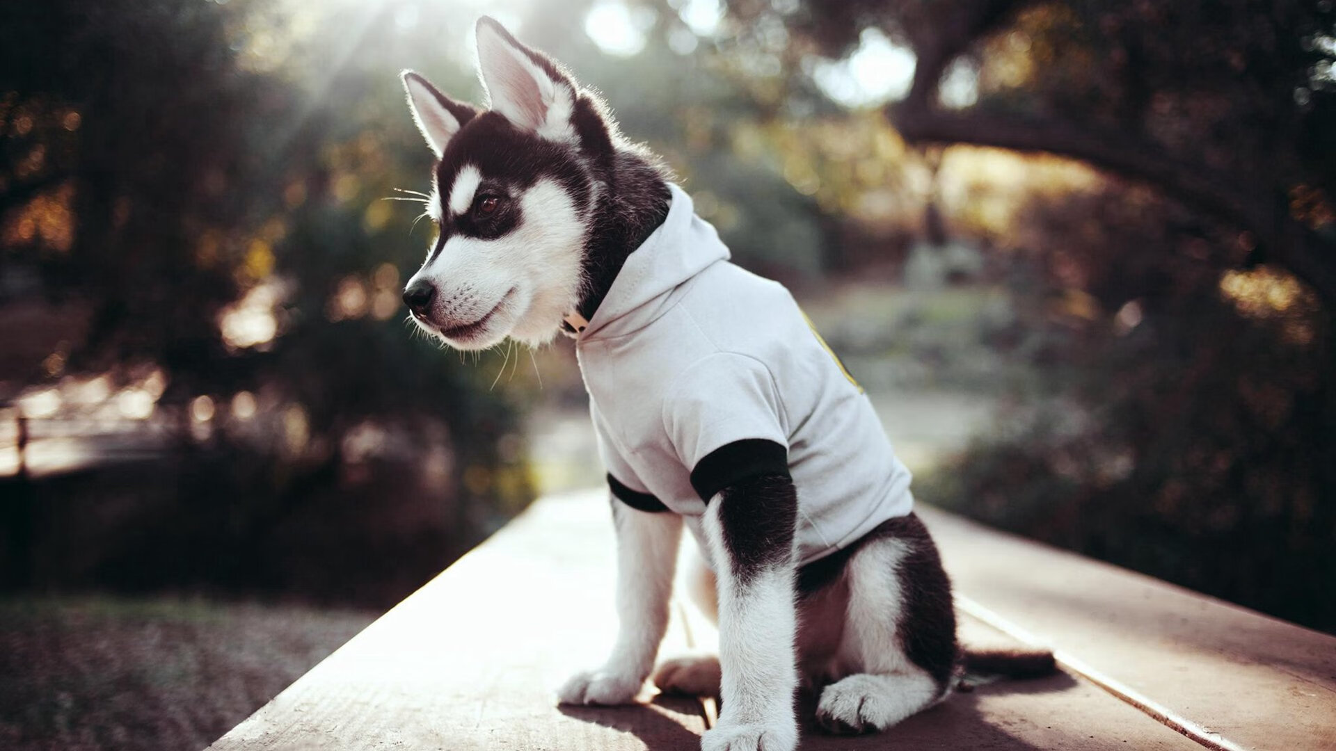 开云体育入口-一场离经叛道的胜利，美加墨焦点战，日本如何重新定义足球强弱