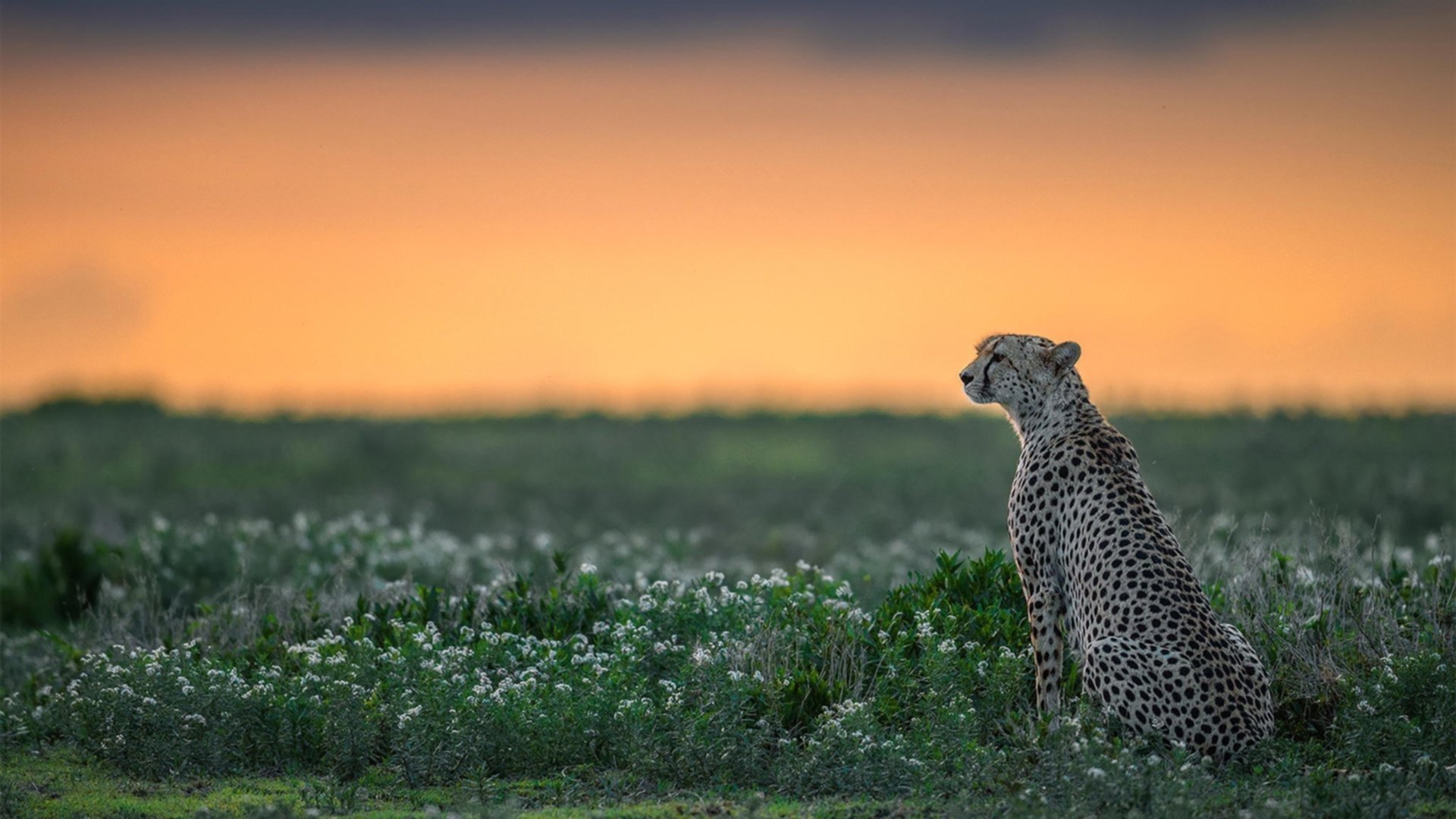 跨越太平洋的关键一击，杜兰特加盟山西狂胜独行侠的梦幻之战