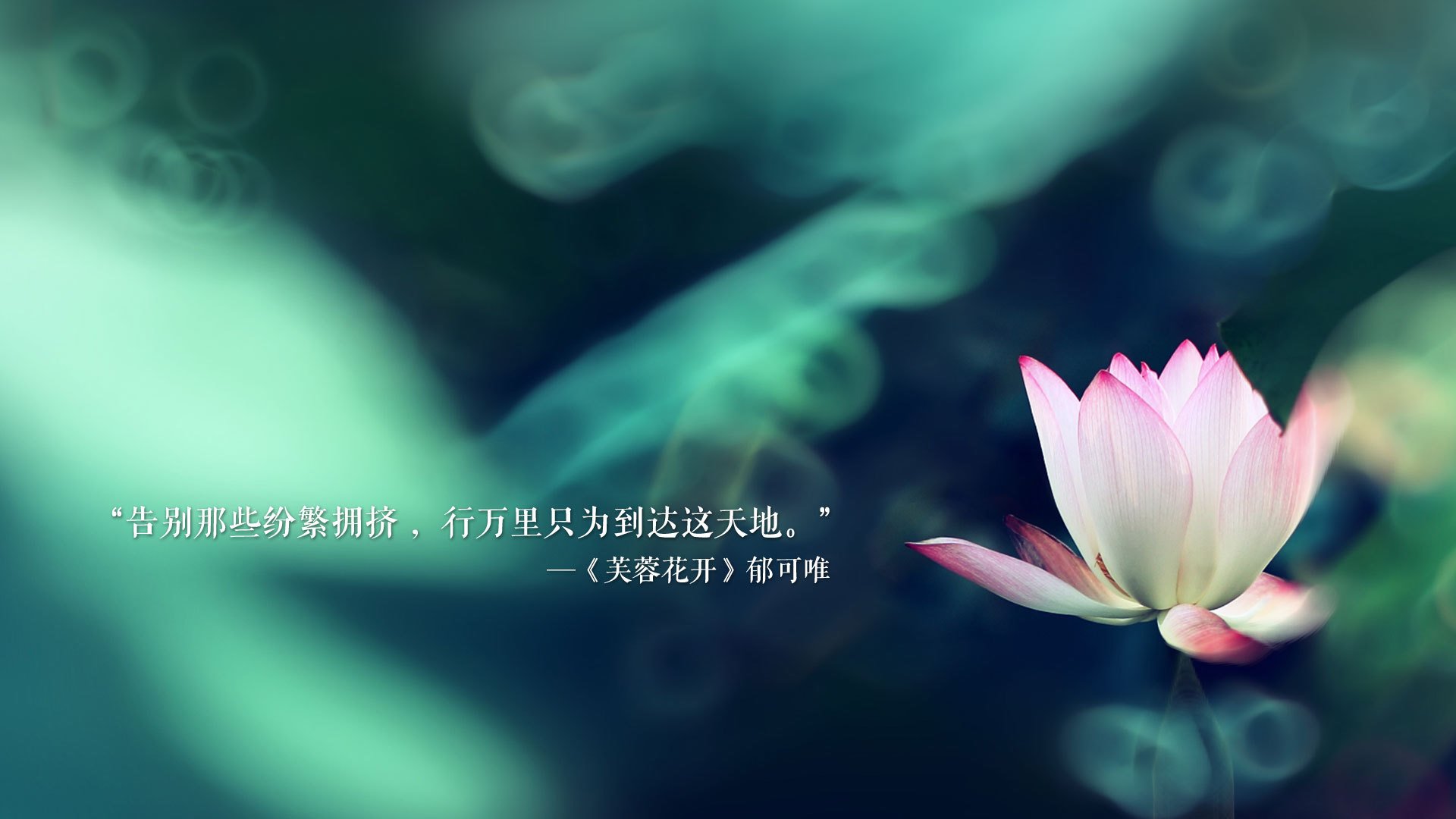 开云体育官网-F1巴林揭幕战之夜，奔驰闪电战与维尼修斯的绿茵统治力