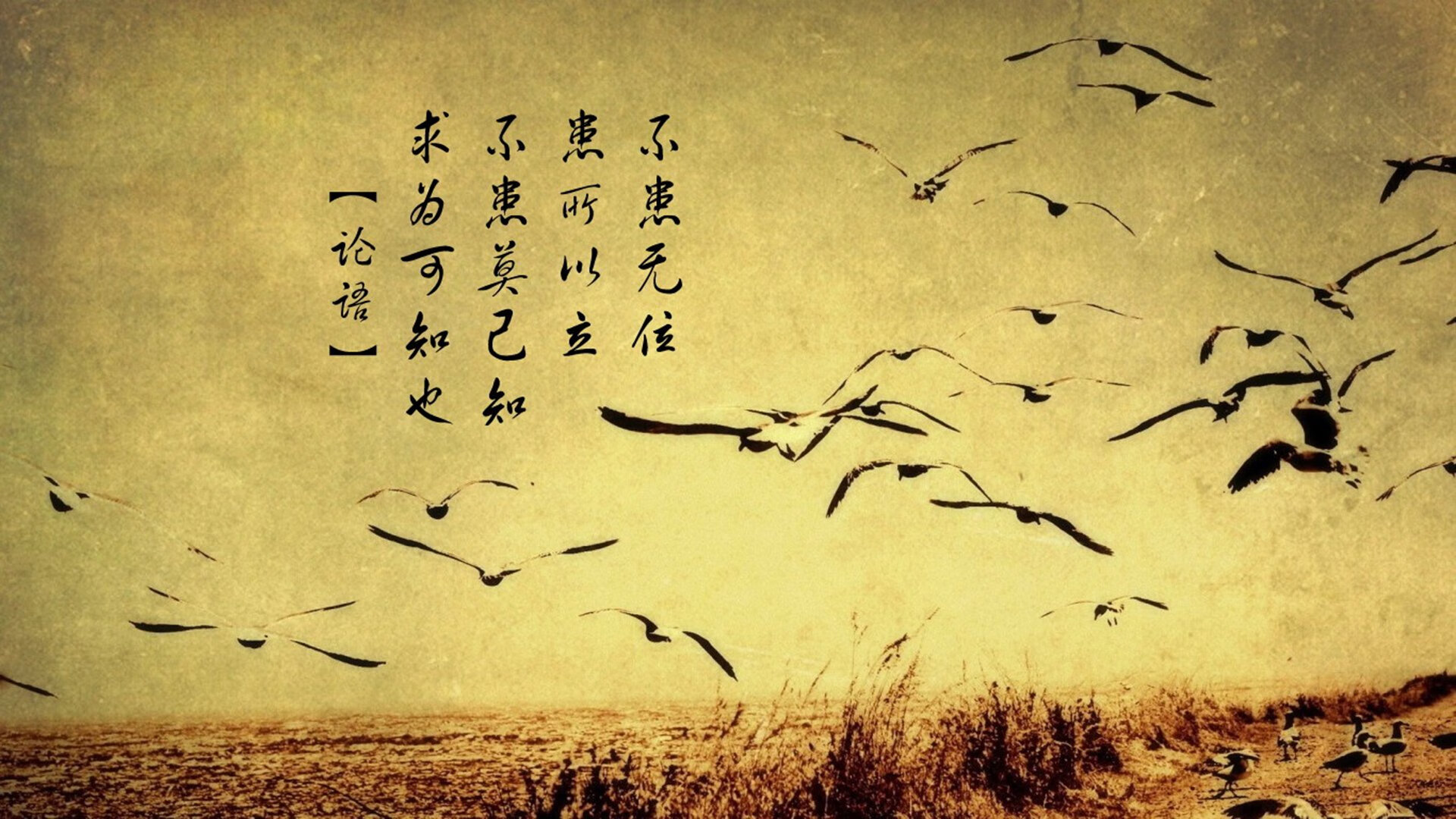 冰火两重天，2026世界杯B组，泰国绝杀掀翻瑞典，京多安独木难支难阻北欧海盗沉没
