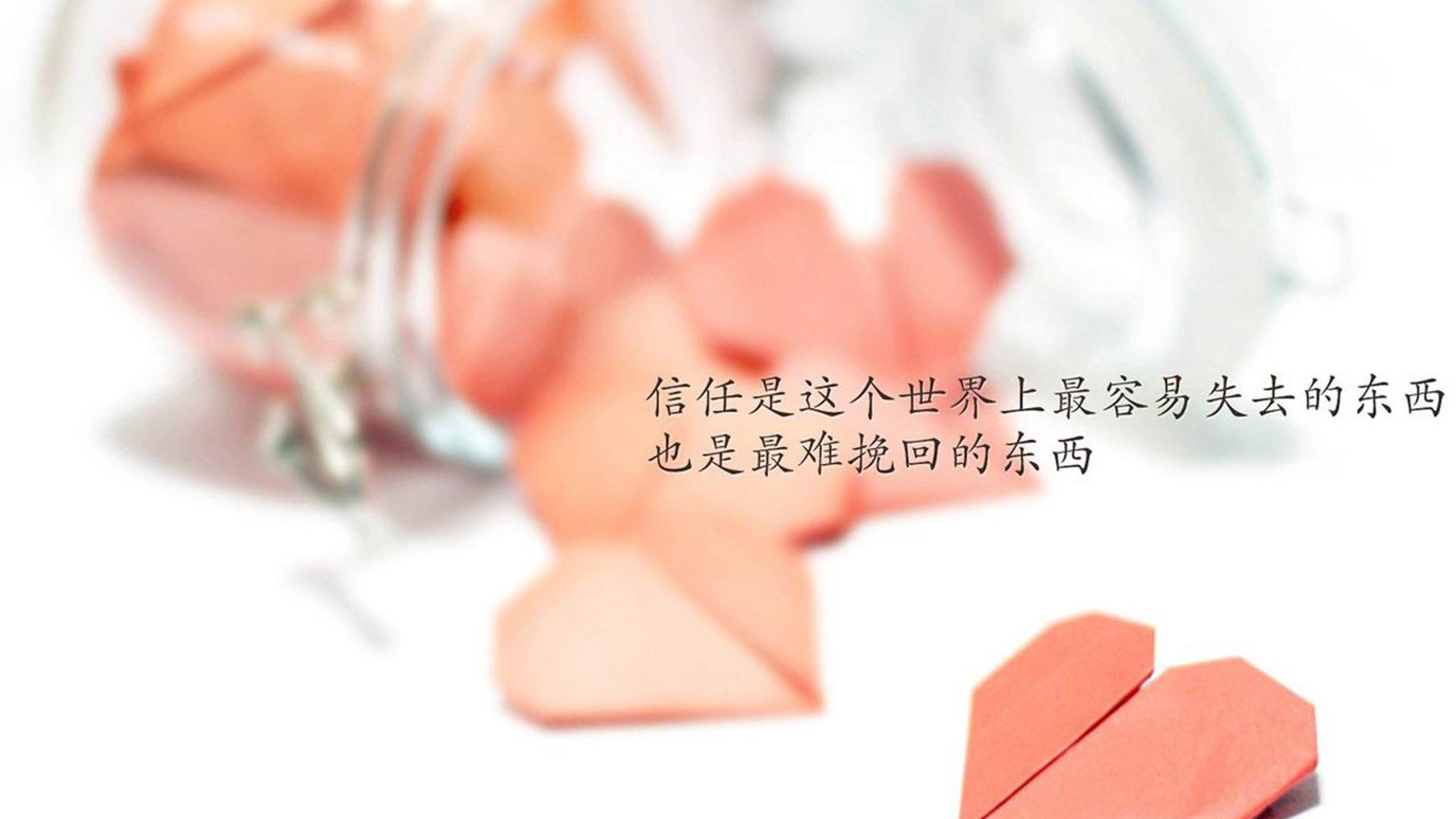 归乡者的独舞,当三笘薰用葡萄牙的剑,刺穿突尼斯的盾—2026世界杯G组身份之战