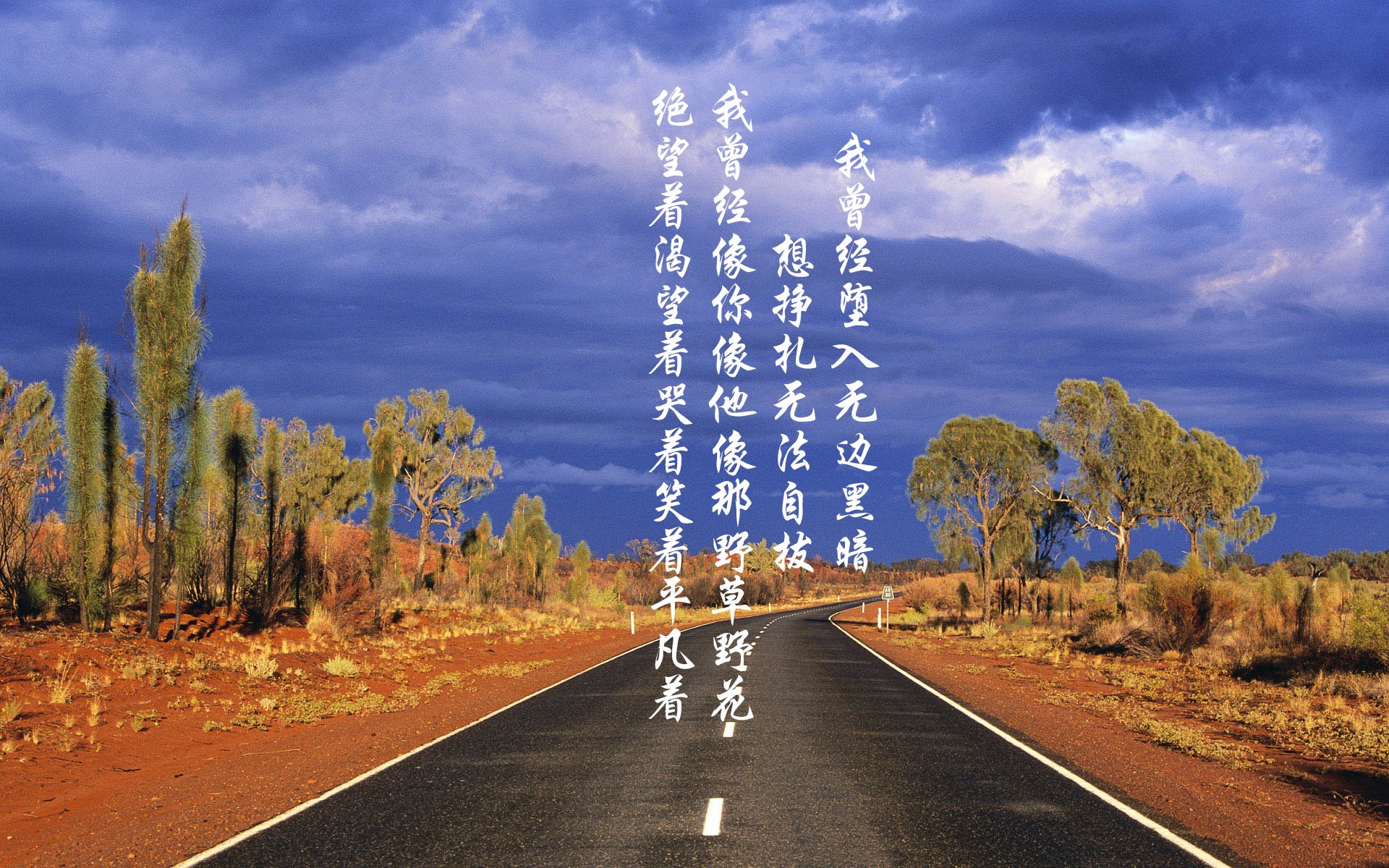 铁血之战中的艺术大师—佩德里导演C组经典,澳大利亚力克秘鲁