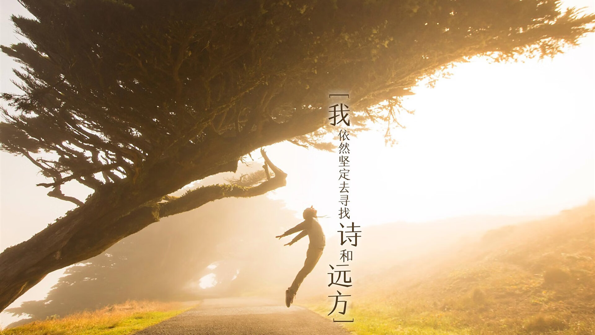 铁幕下的裂缝，当吉鲁的唯一性撕裂了G组的北非之盾